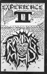 Raving Mad : Experience II